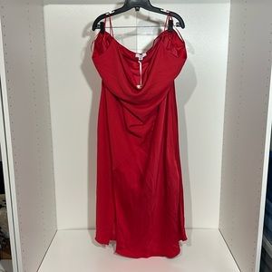 Red Cushnie Dress